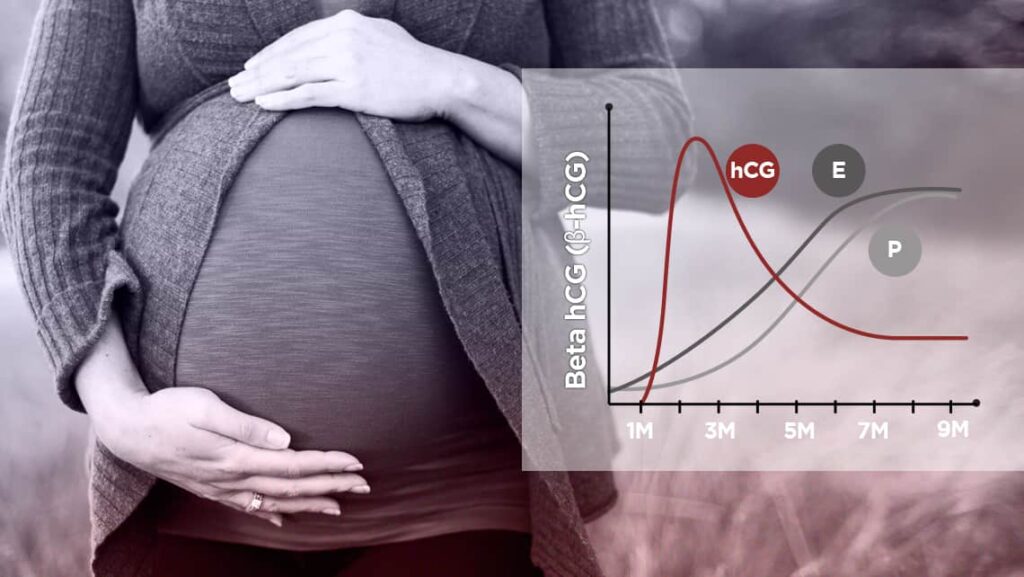 Beta HCG टेस्ट क्या होता है और क्यों कराया जाता है?